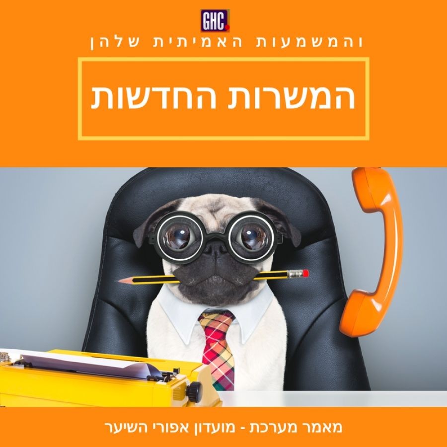 משרה בכותרות: המשרות החדשות