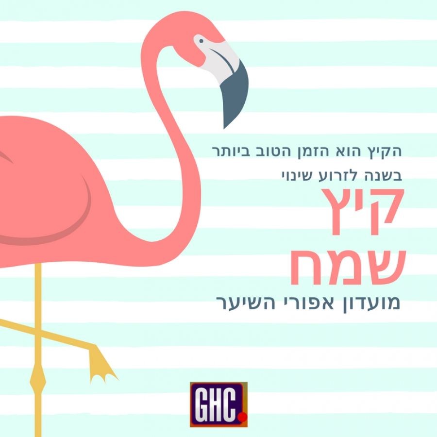 קיץ שמח