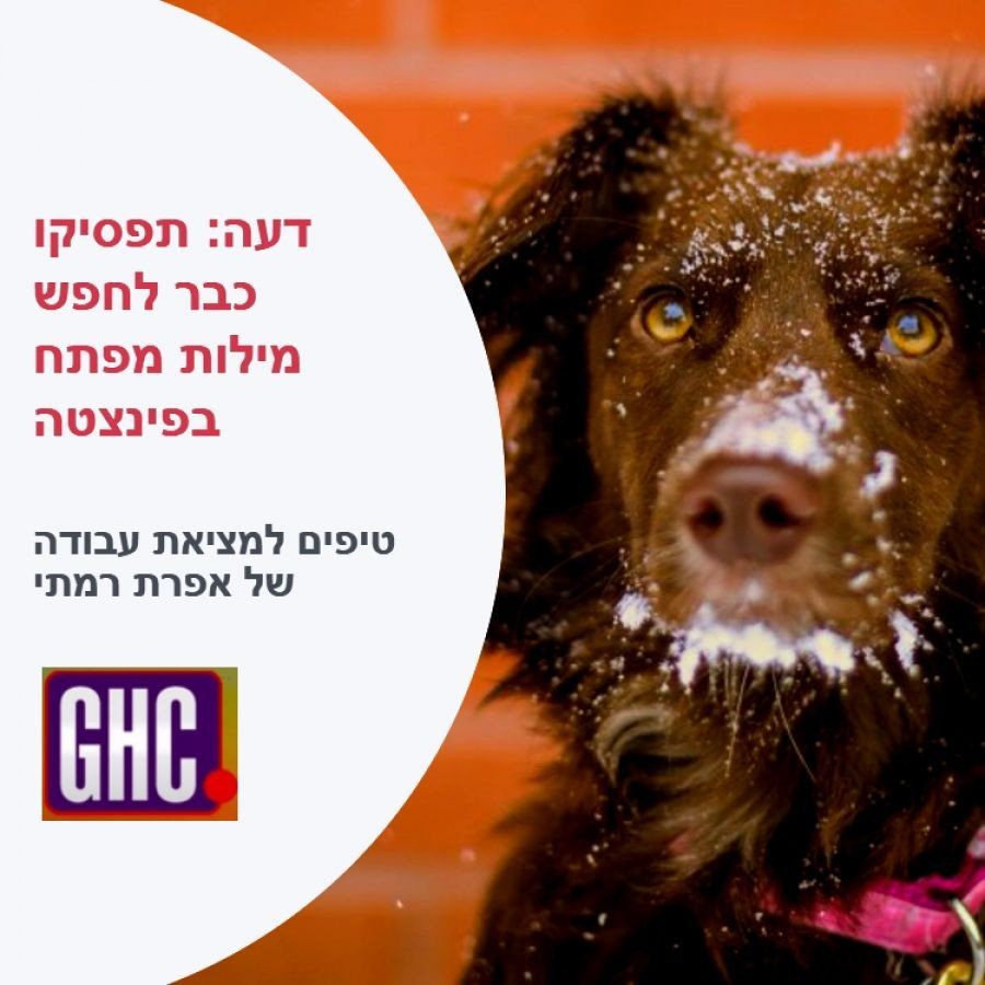 דעה: תפסיקו כבר לחפש מילות מפתח בפינצטה