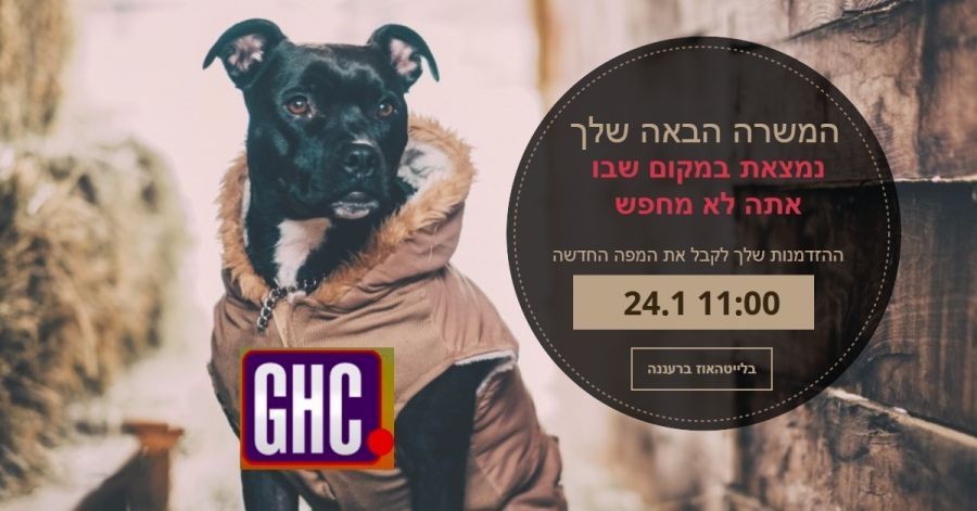 האם בכלל כדאי לעבוד עם חברות כח אדם הגדולות אחרי 45?